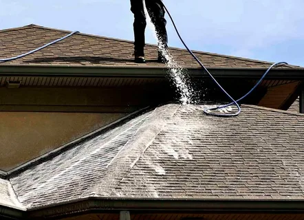 Soft Washing & Roof Cleaning Services in Perry, GA